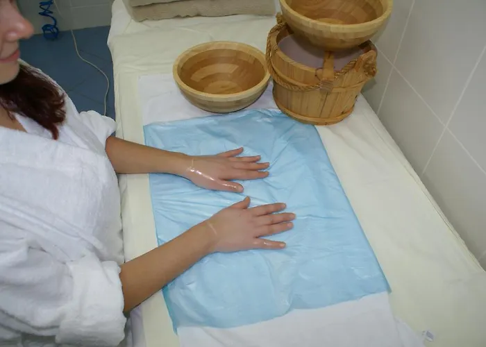 Hotel Spa & Wellness Harmonie 3*