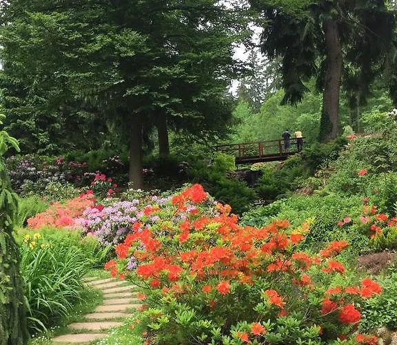 Spa & Wellness Harmonie Hotel