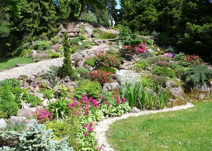 Spa & Wellness Harmonie Hotel Marianske Lazne