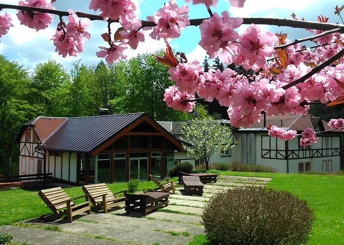 Hotel Spa & Wellness Harmonie 3*