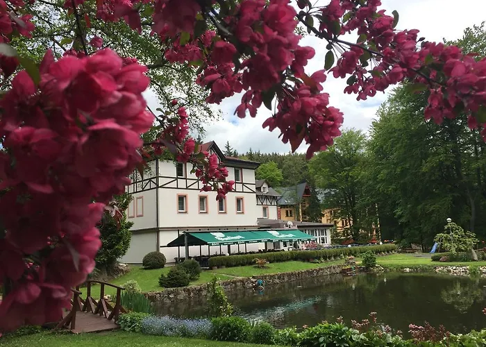 Spa & Wellness Harmonie Hotel Marianske Lazne