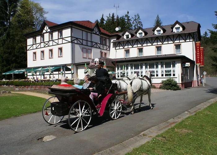 Spa & Wellness Harmonie 3* Marianske Lazne