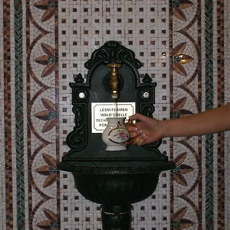 Szálloda & Wellness Harmonie Mariánské Lázně