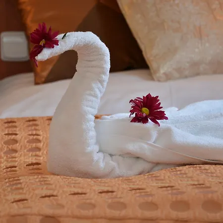 & Wellness Harmonie فندق Mariánské Lázně
