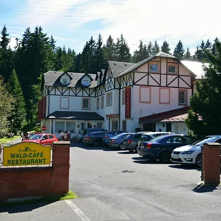 فندق & Wellness Harmonie Mariánské Lázně