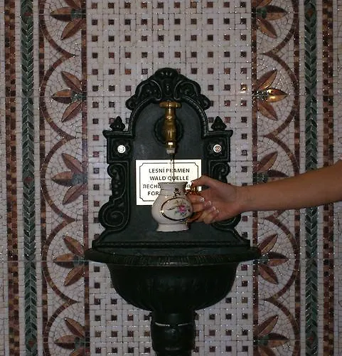 فندق & Wellness Harmonie Mariánské Lázně