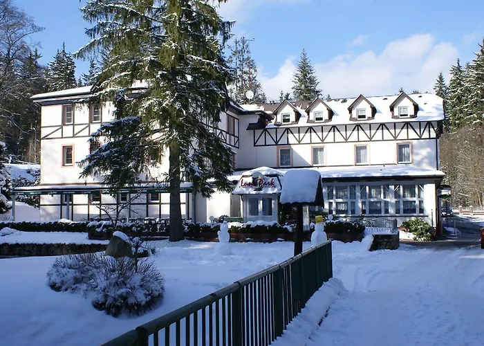 & Wellness Harmonie فندق Mariánské Lázně