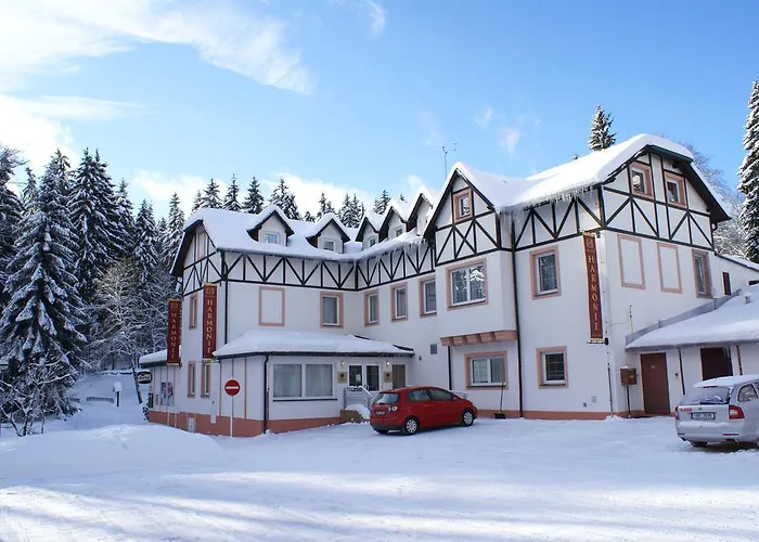 فندق & Wellness Harmonie Mariánské Lázně
