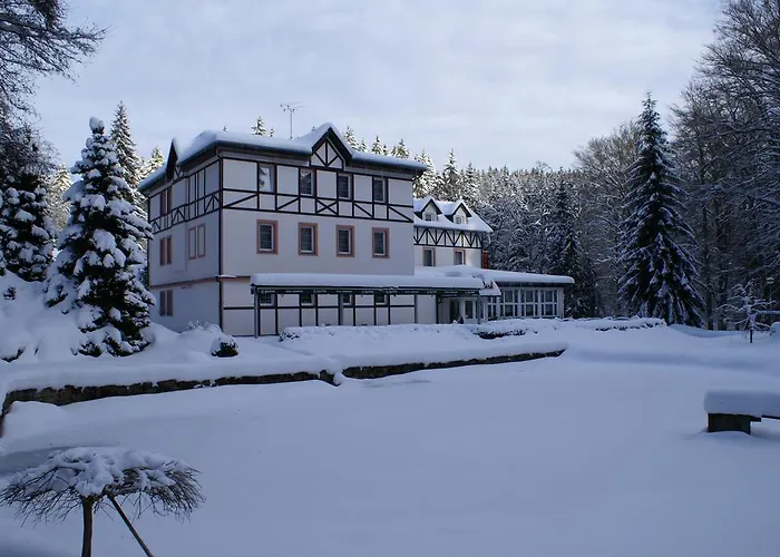 & Wellness Harmonie فندق Mariánské Lázně